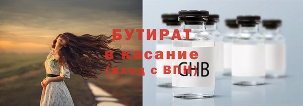 прущие грибы Бронницы