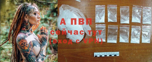 прущие грибы Бронницы