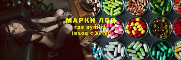 прущие грибы Бронницы